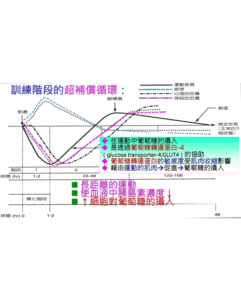 投影片137